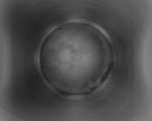 X0000101471237200807071436