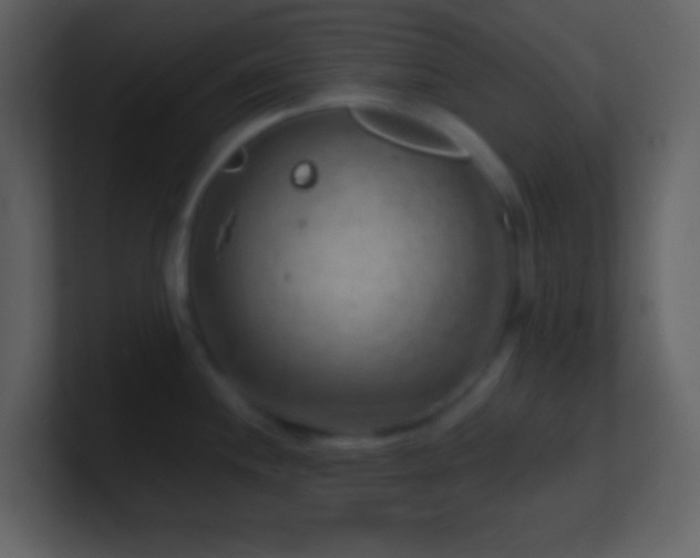 X0000101471244200807071437