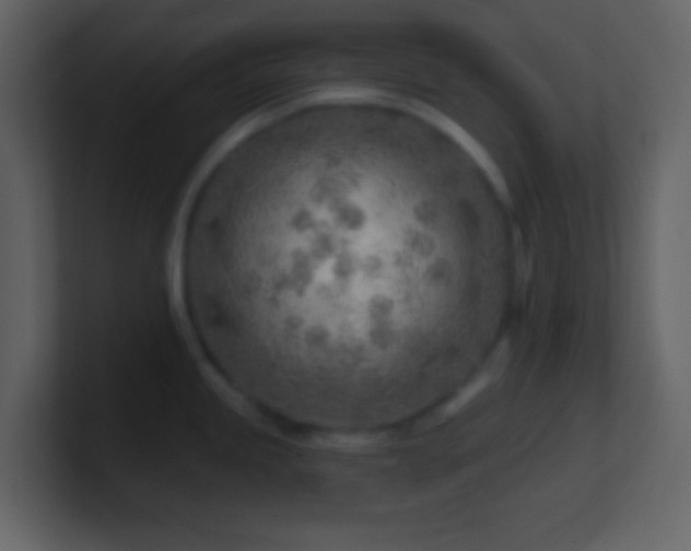 X0000101471245200807071437