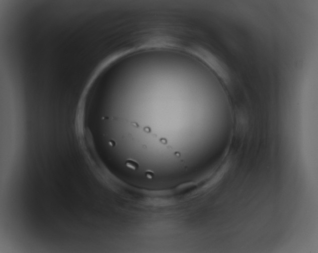 X0000101471246200807071437