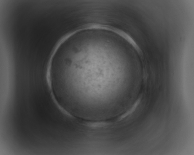 X0000101471247200807071437