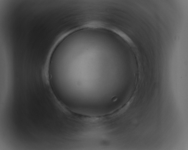 X0000101471248200807071437
