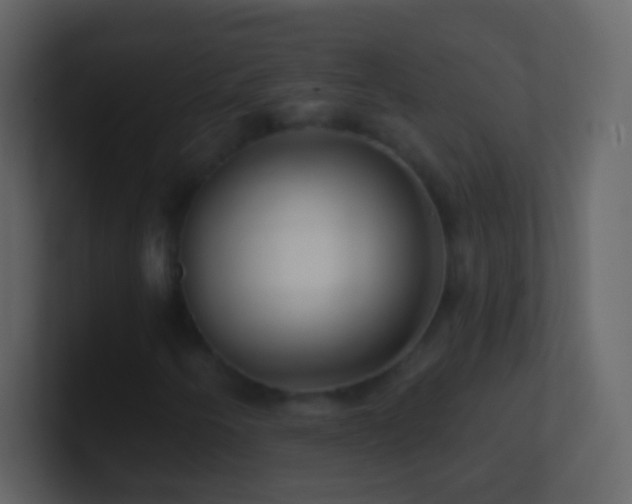 X0000101471250200807071436