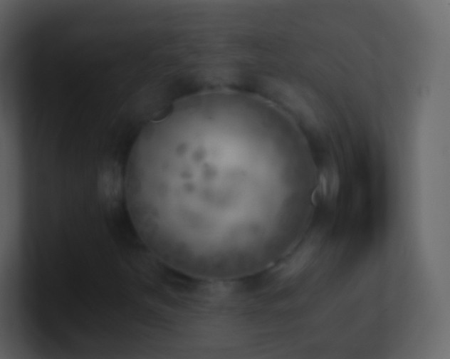 X0000101471251200807071436
