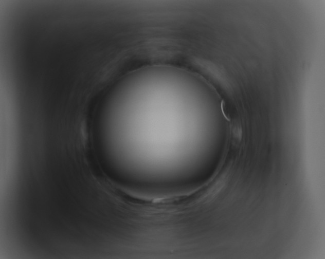 X0000101471252200807071436