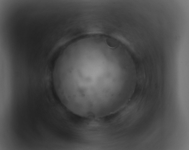 X0000101471255200807071436