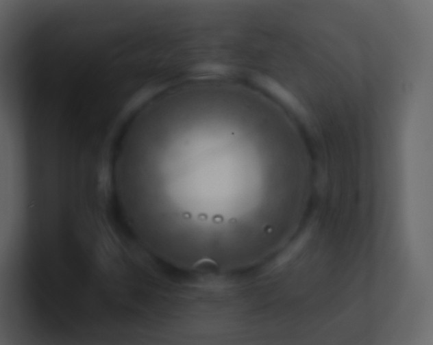 X0000101471259200807071436
