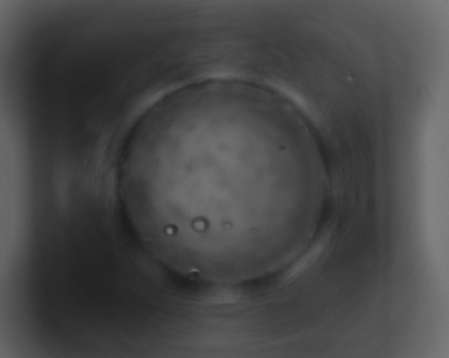 X0000101471263200807071436