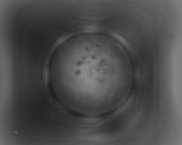 X0000101471267200807071436