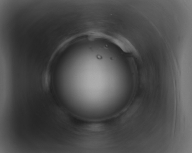 X0000101471268200807071436