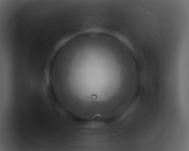 X0000101471271200807071436