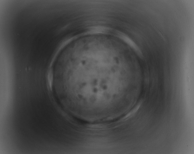 X0000101471275200807071436