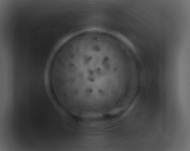 X0000101471279200807071436