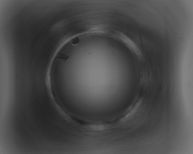X0000101471291200807071435