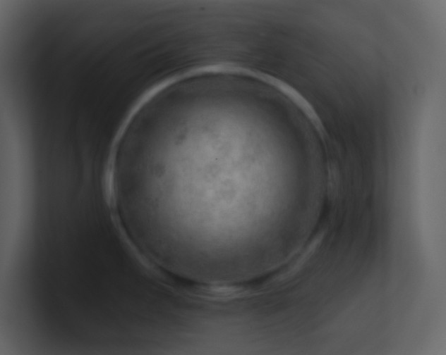 X0000101471295200807071435