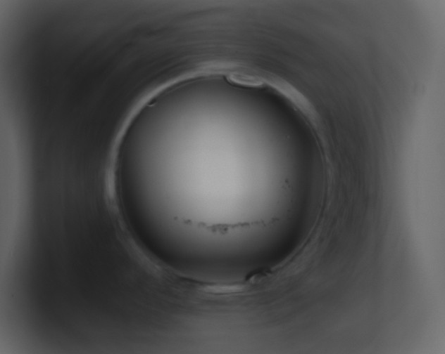 X0000101471296200807071435