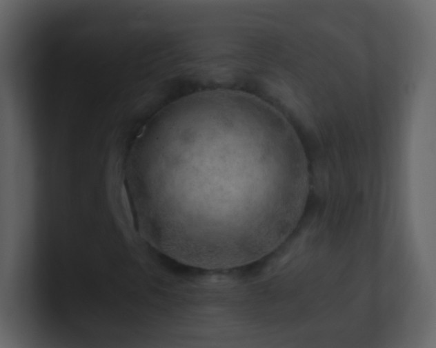 X0000101471297200807071435