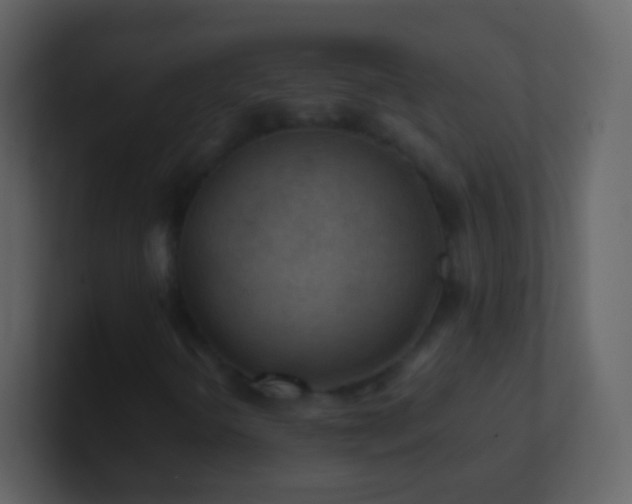 X0000101471298200807071435
