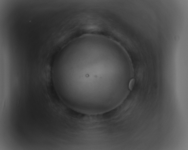 X0000101471301200807071435