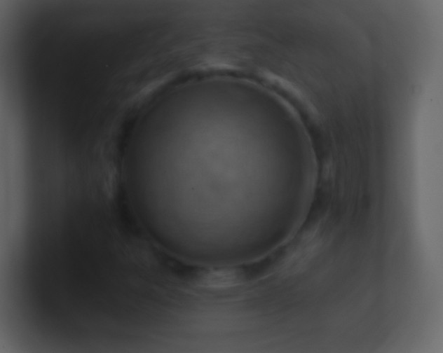 X0000101471303200807071435