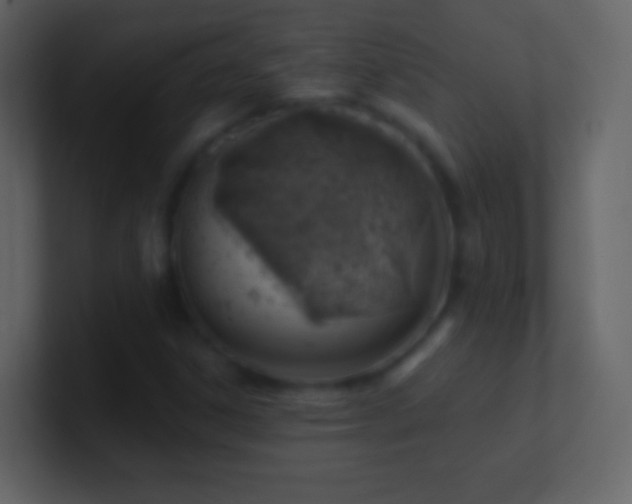 X0000101471306200807071435