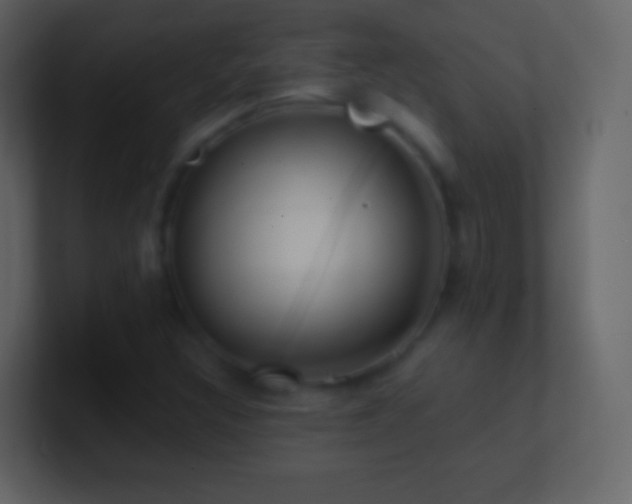 X0000101471308200807071435