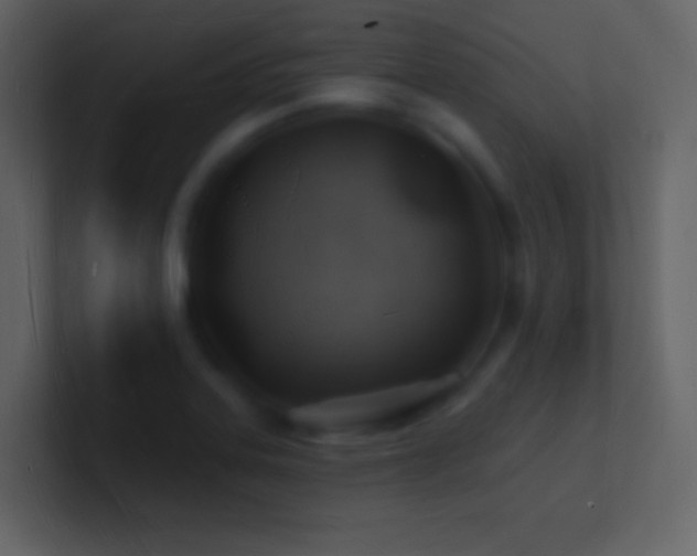 X0000101471323200807071435
