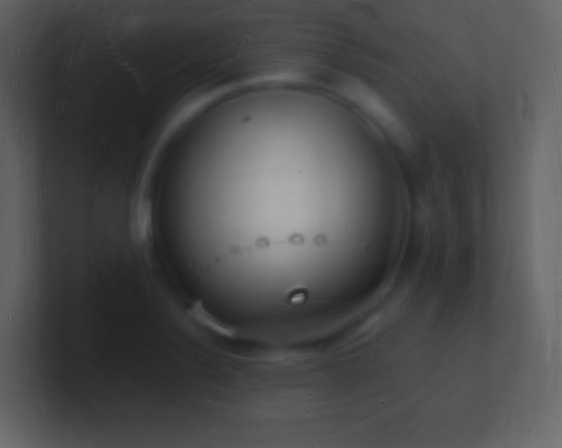 X0000101471324200807071435