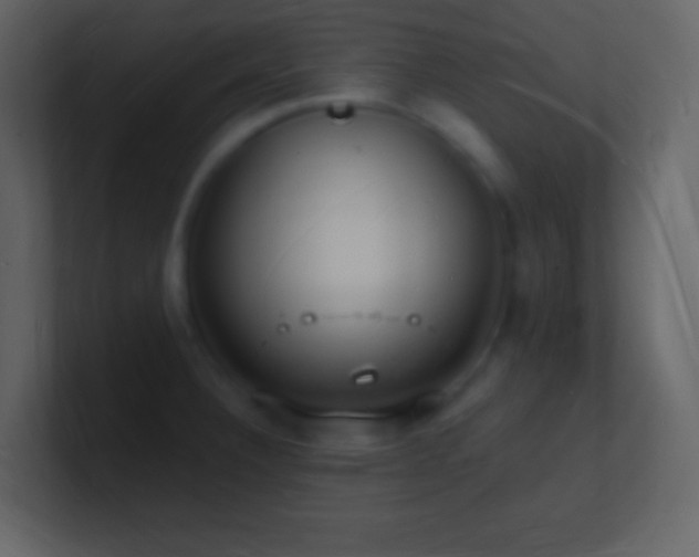 X0000101471332200807071435