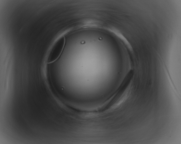 X0000101471333200807071435