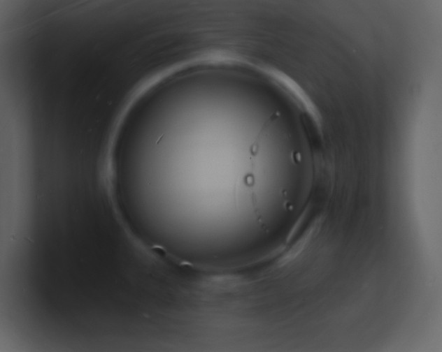 X0000101471335200807071435