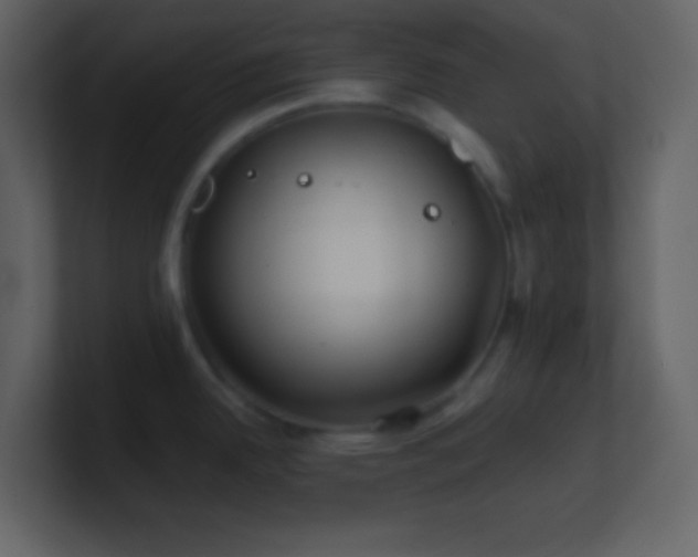 X0000101471342200807071435