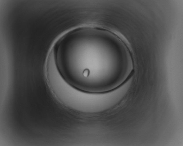 X0000101471344200807071435