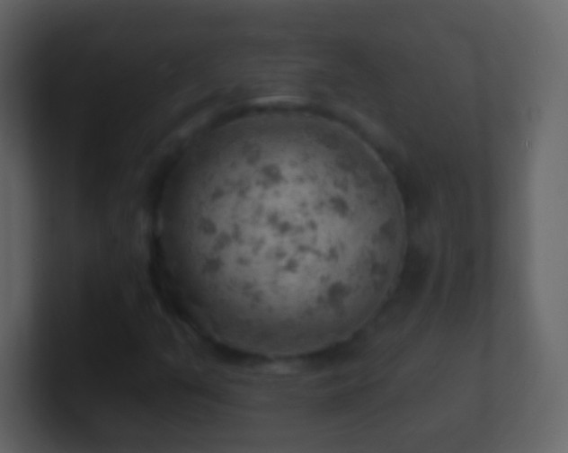 X0000101471351200807071435