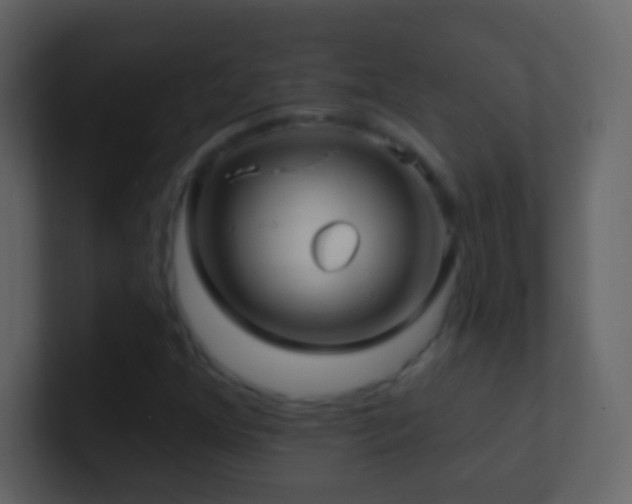 X0000101471352200807071435