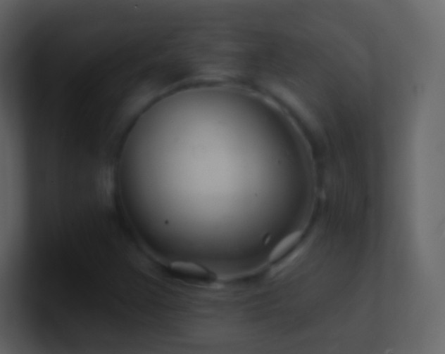 X0000101471355200807071435