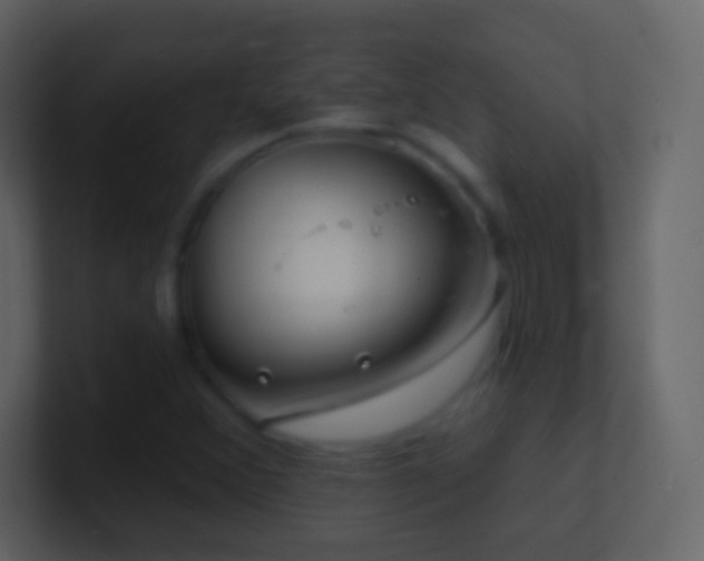 X0000101471356200807071435