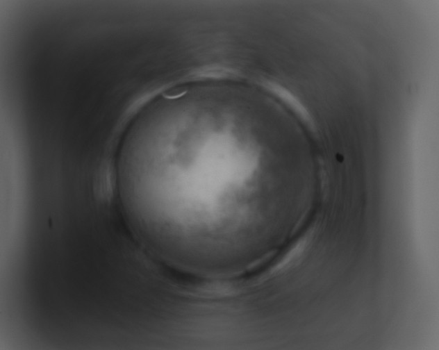 X0000101471358200807071435