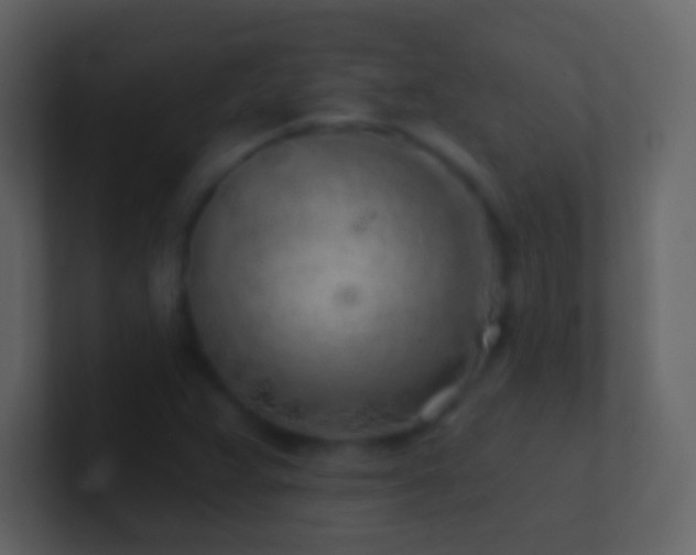 X0000101471359200807071435