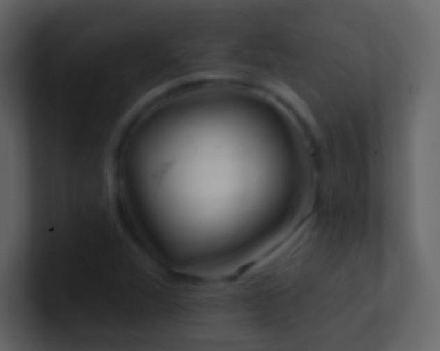 X0000101471360200807071434