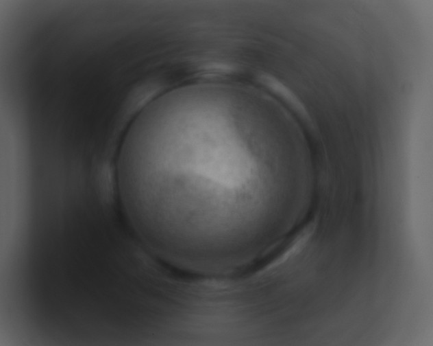 X0000101471362200807071434