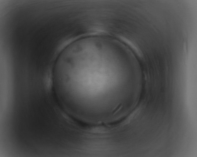 X0000101471363200807071434