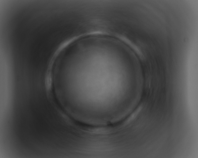 X0000101471367200807071434
