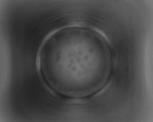 X0000101471371200807071434