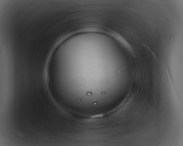 X0000101471380200807071434