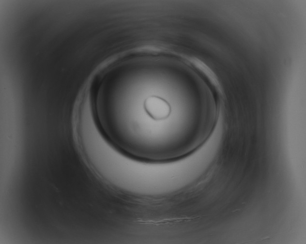 X0000101471384200807071434