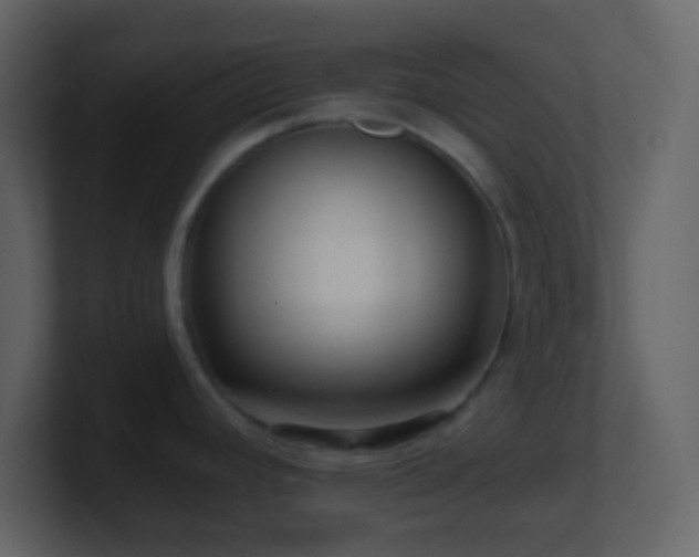 X0000101471392200807071434