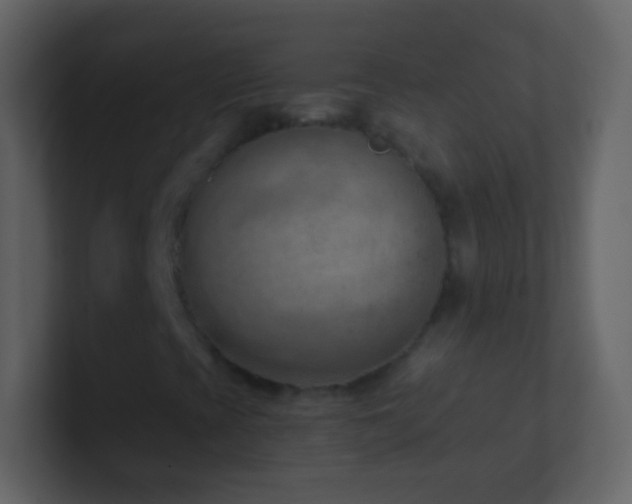 X0000101471393200807071433