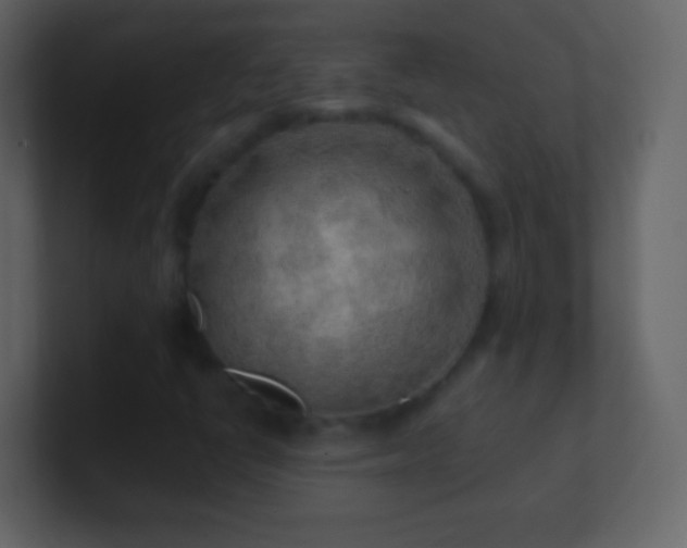 X0000101471398200807071434