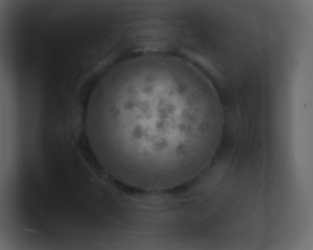 X0000101471399200807071434